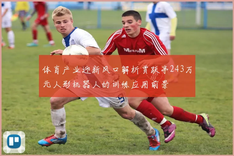 体育产业迎新风口解析贾跃亭243万元人形机器人的训练应用前景
