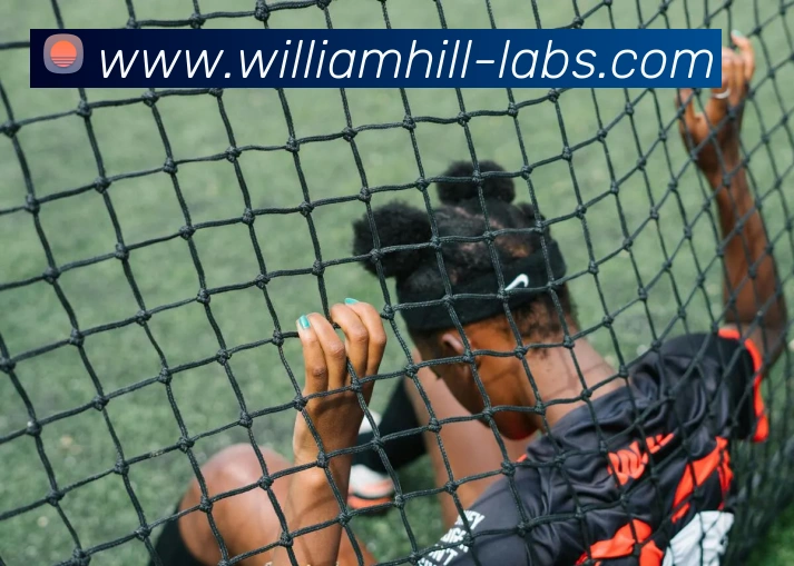 威廉希尔平台生态图