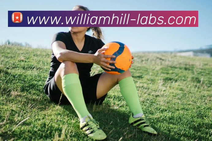 威廉希尔APP 封面图